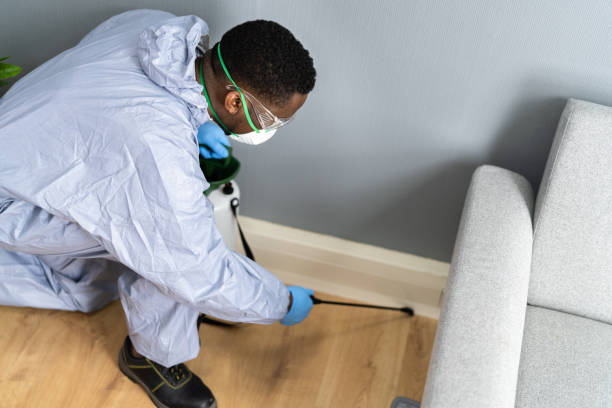 Best Fumigation Services  in Pinetop Lakeside, AZ